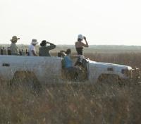 Safari Drive